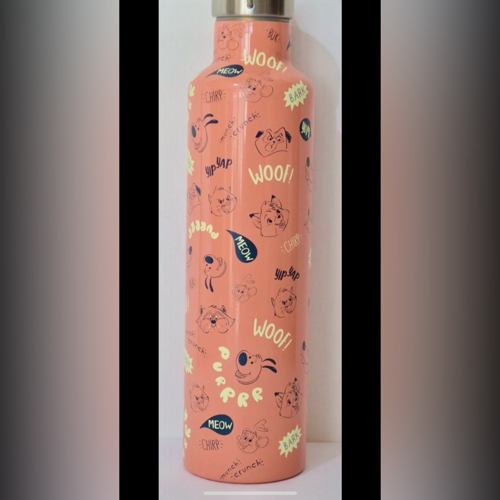 Disney Water Bottle Sidekick Critters Large Stainless Steel 1000 ml 34 oz New